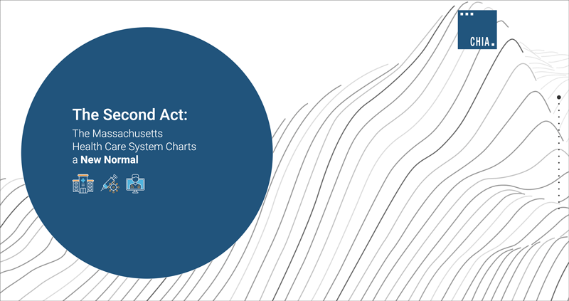 Click to view the supplement to CHIA's Annual Report on the Massachusetts Health Care System