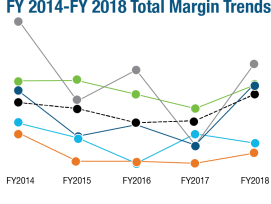 Acute Hospital and Health System Financial Performance Report