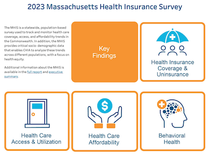 MHIS 2024 Dashboard